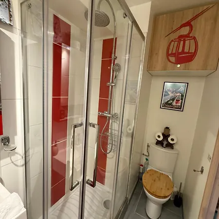 Centre - De Charme Avec Parking, Vue Sur Le Mont-blc *